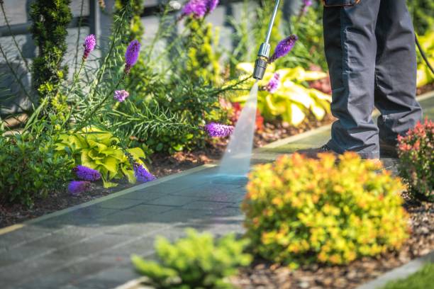 Professional Pressure Washing Services in Star, NC